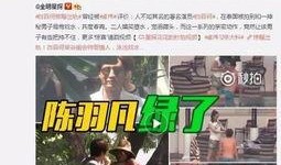 刘泰炜事件爆料视频大全,揭秘爆料视频背后的真相与争议